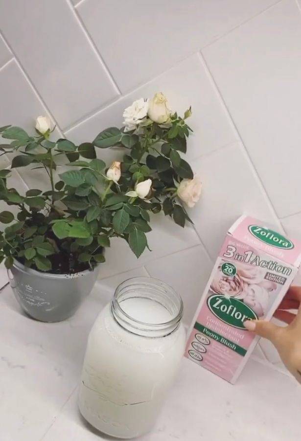It's safest to use &quot;cool or warm water&quot; with Zoflora, say the brand (Credit: Mrs Hinch / Instagram)