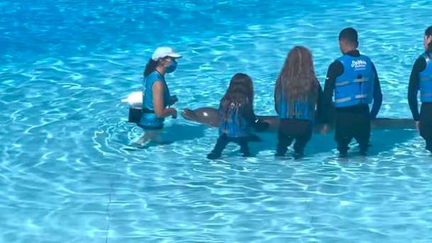 Princess swimming with dolphins (Credit: The Andres/Youtube)