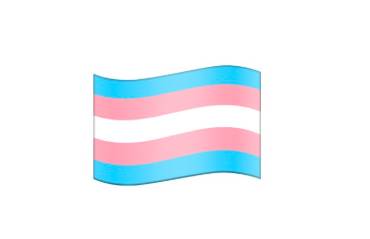 There's also a transgender flag (Credit: Emojipedia)