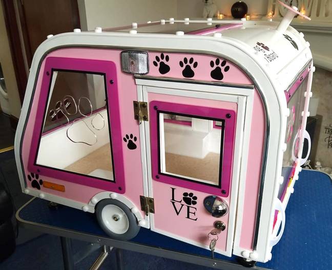 We need one of these for our pups ASAP (Credit: Caters News)