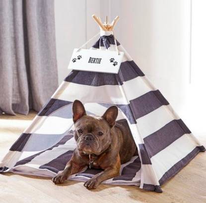 Pet Teepees are our favourite new trend (Credit: Studio.co.uk)