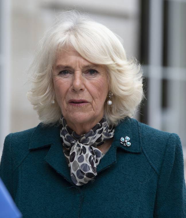 Camilla, Duchess of Cornwall, has been subject to some upsetting online abuse from viewers who watched the show (Credit: PA)