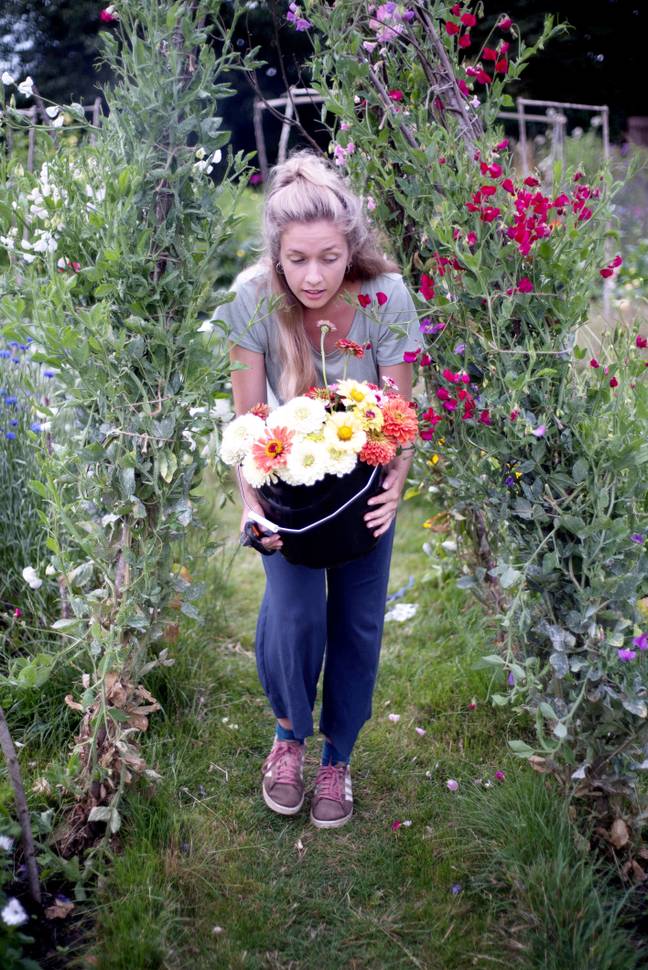 The green-fingered couple spent hours in the allotment making their wedding flowers Credit: SWNS