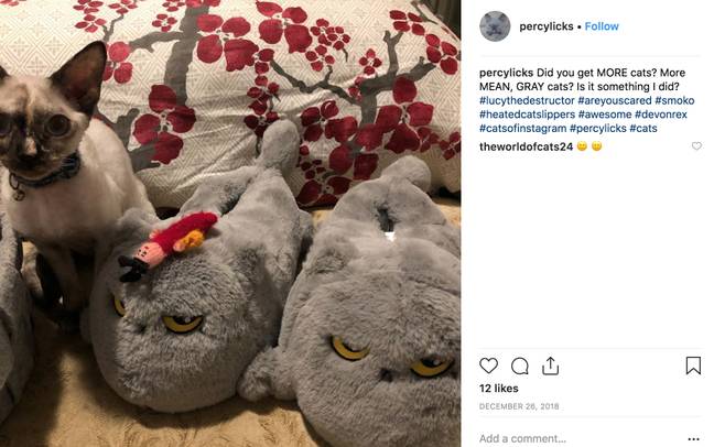 Heated 2025 cat slippers