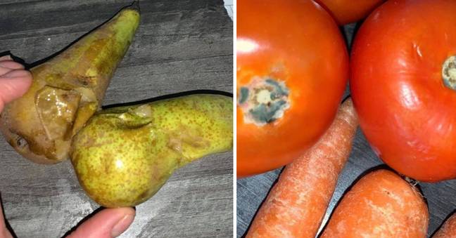 The vegetables, which themum says are from Chartwells, were mouldy (Credit: SWNS)