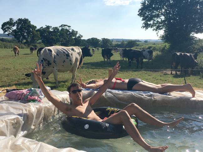 Ed and his family have been loving their makeshift pool with cows for company (Credit: Caters)