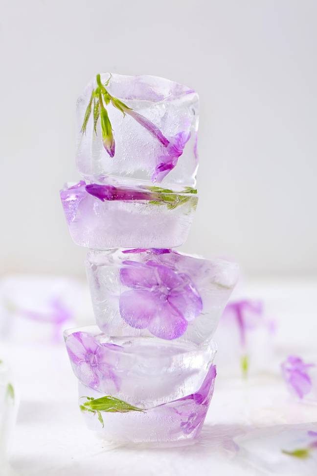 You can even change the colour of your drink with your choice of flower (Credit: Alamy/PA)
