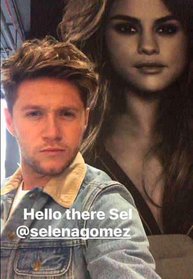 Niall Horan supported Selena Gomez with a selfie by her advert Credit: Instagram/ Niall Horan