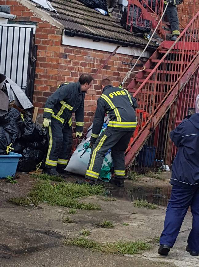 Firefighters were drafted in by the RSPCA to help rescue the pig so it could be rehomed (Credit: SWNS) 