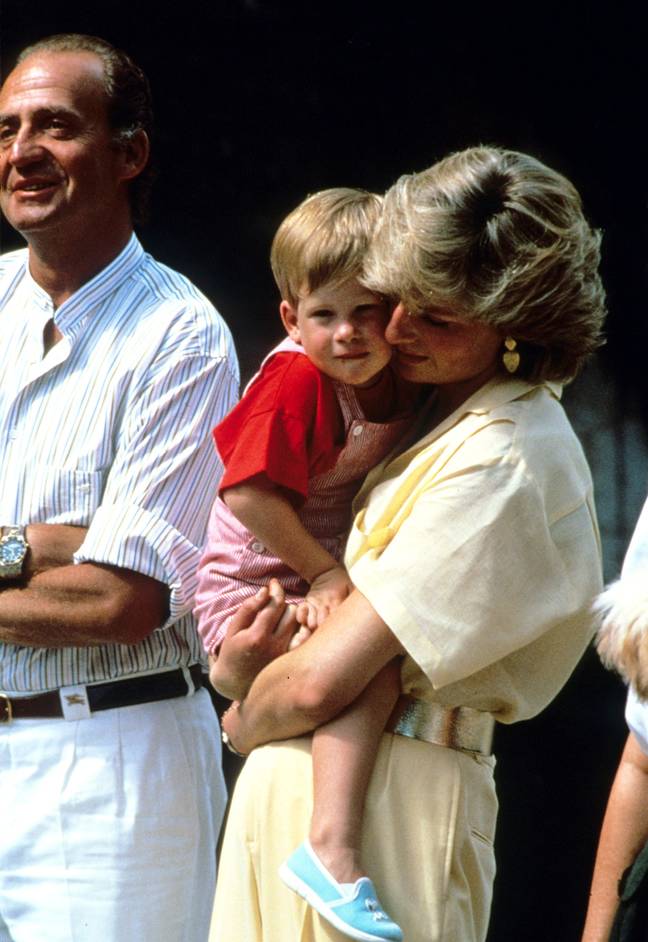 Princess Diana died in 1997 and specified her sons would each receive £10 million (Credit: PA)