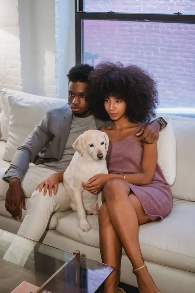 Pets may lead to contention if couples choose to split (Credit: Unsplash)