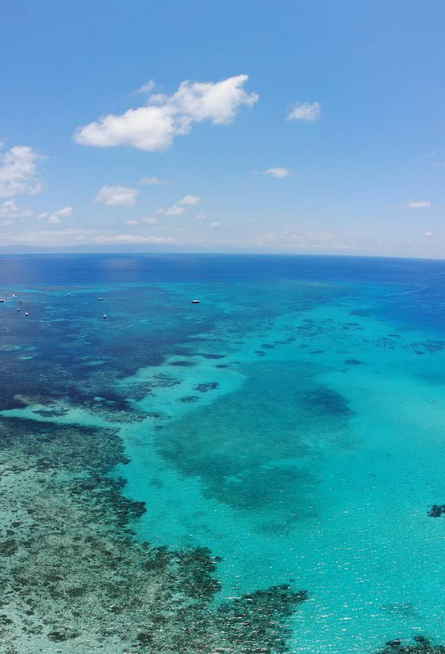 The Great Barrier Reef (Credit: Unsplash)