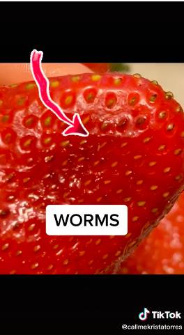The worms emerged after 30 minutes (Credit: TikTok/Krista Torres)