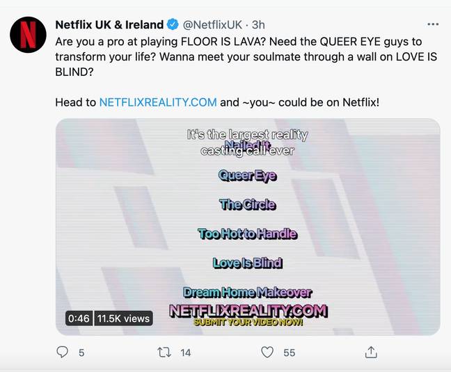 Applicants will have to submit a one minute video of themselves (Credit: Netflix/Twitter)