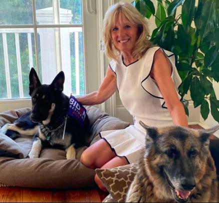 Jill Biden's press secretary revealed the pups are settling in (Credit: Instagram)