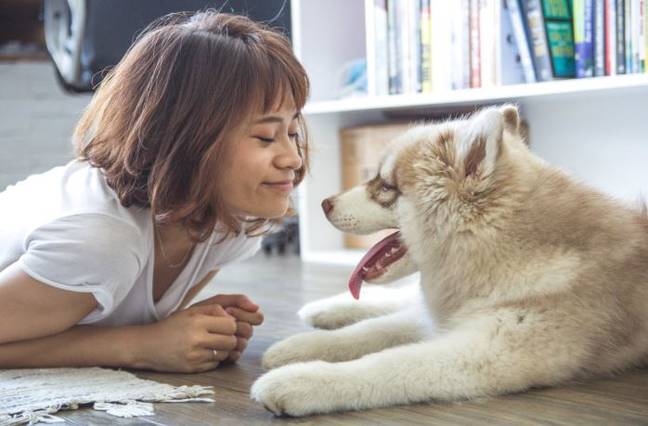 The study suggested dogs provide an unconditional friendship. Credit: Pexels