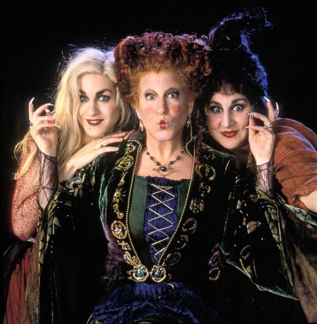 There will be a 'Hocus Pocus' reunion (Credit: Disney)