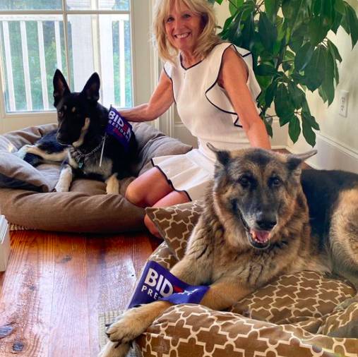 The Biden family have two dogs called Major and Champ (Credit: Twitter/ Jill Biden) 