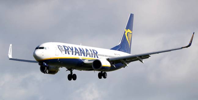 Ryanair has struggled in the pandemic (Credit: PA Images)