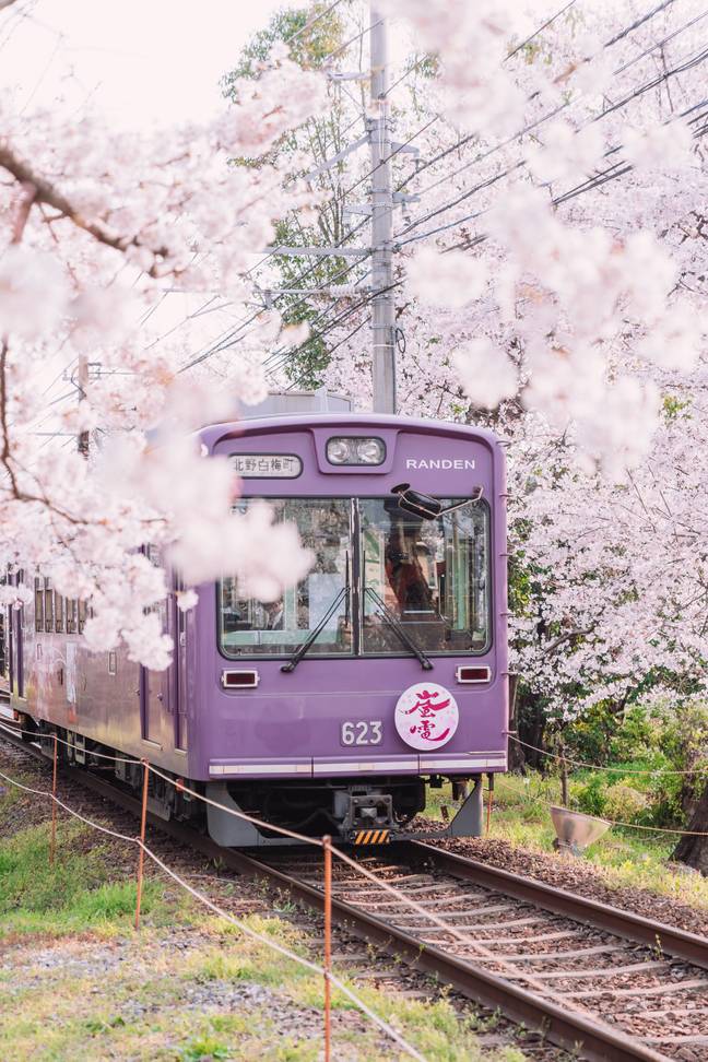 YouTube is a treasure trove of immersive virtual train journeys from all over the world (Credit: Unsplash)