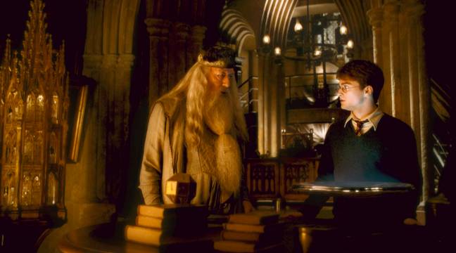 Dumbledore may not be too impressed (Credit: Warner Bros.) 