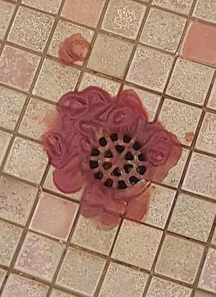 The woman decided to cover her drains in ketchup. (Credit: Facebook)