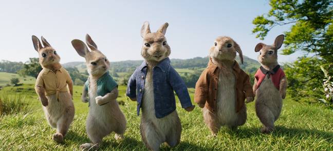 Peter Rabbit stars a whole host of famous faces as voiceovers (Credit: Columbia Pictures)