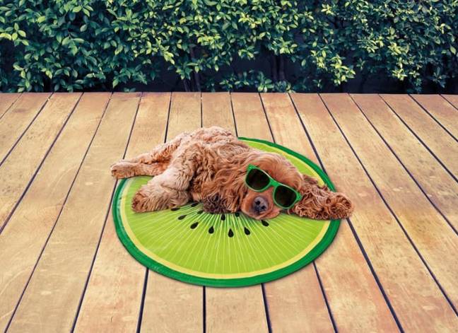 B M Is Selling 4.99 Watermelon Dog Cooling Mats So You Can