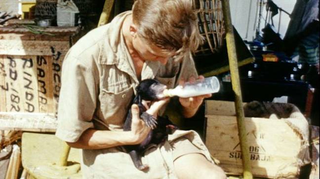 He was also pictured feeding a Malaysian Sun Bear (Credit: BBC)