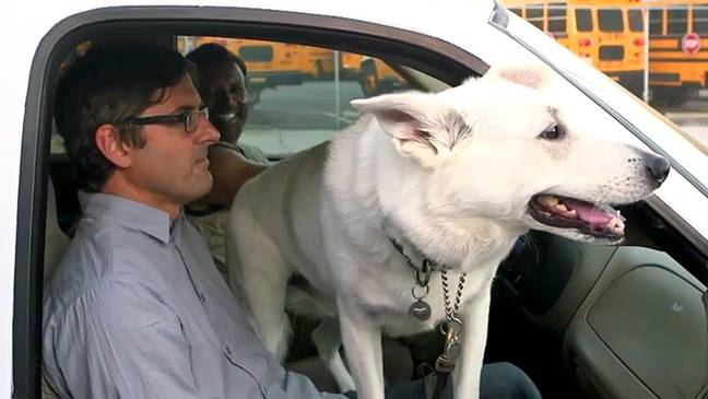Louis meets LA's canine population in 'City of Dogs' (Credit: BBC)