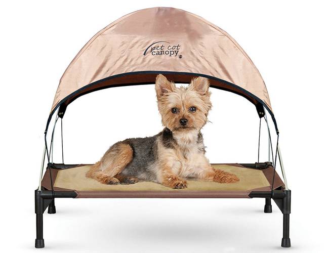 Amazon's offering a K&amp;H Pets Cot Canopy that's especially suited to small dogs. Credit: Amazon