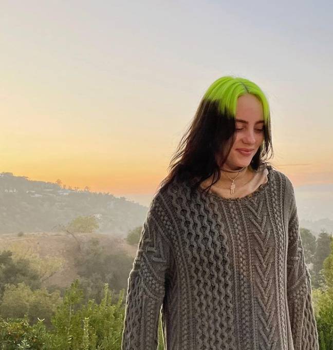 Billie Eilish's neon green and black 'do is a new take on the hair trend taking over social media (Credit: Instagram)