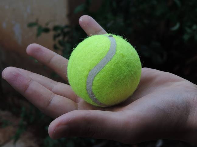 You can even massage your back using tennis balls (Credit: Needpix)