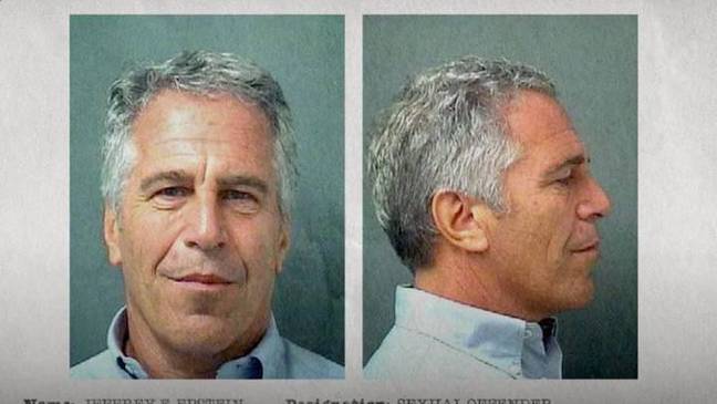 Epstein, a convicted sex offender, died aged 66 in his New York prison in August 2019 