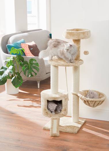 The multi-level Zoofari Cat Scratching Post (£29.99) comes with a hammock and toy ball attached (Credit: Lidl)