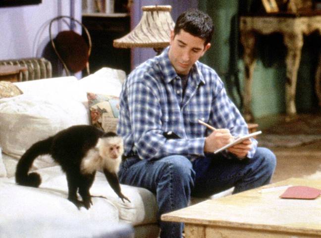 Ross had a pet monkey named Marcel in the show's early episodes (Credit: NBC)