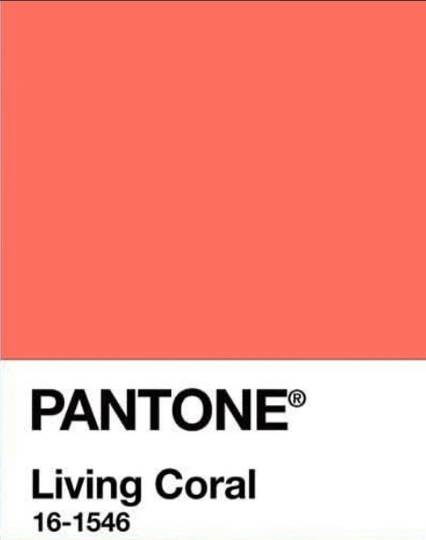 You won't be able to escape this shade in 2019. (Credit: Pantone)