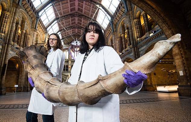The documentary accompanies a blockbuster exhibition at London's Natural History Museum titled 'Fantastic Beasts: The Wonder of Nature' (Credit: Natural History Museum)