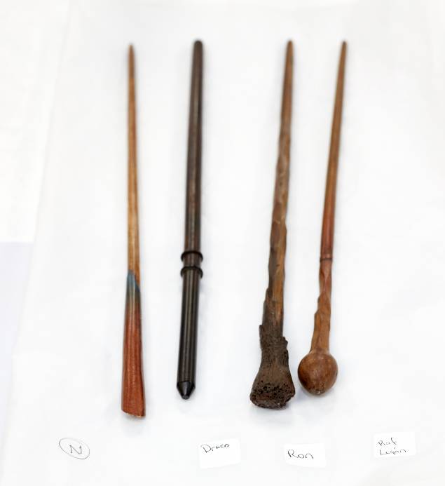 You can even see the wands of some of your favourite wizards (Credit: Trustees of the Natural History Museum)
