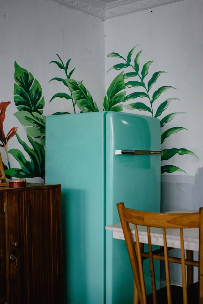 Your fridge may be in a desperate need of a pre-Christmas clearout (Credit: Unsplash)