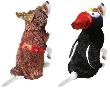 B&m sales dog costumes