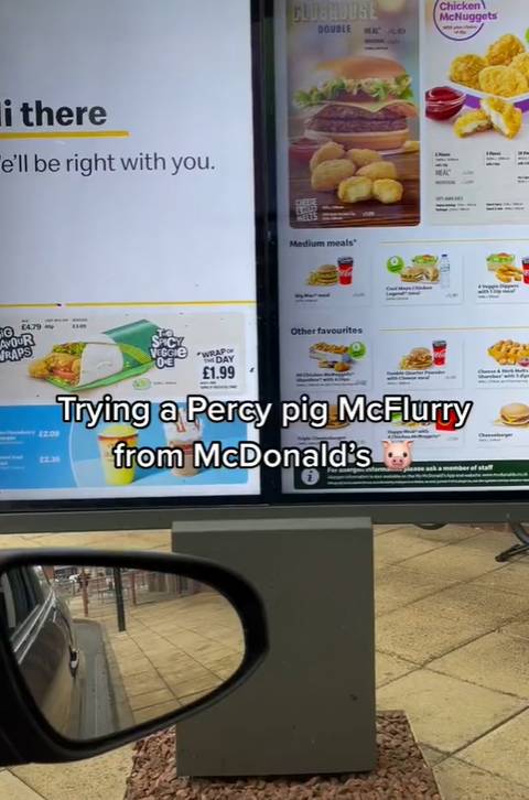 Always thought McFlurries needed to be pinker (Credit: TikTok - melika_zaidi)