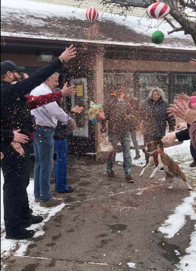 The rescue dog was showered with confetti as she jumped for joy (Credit: Caters)