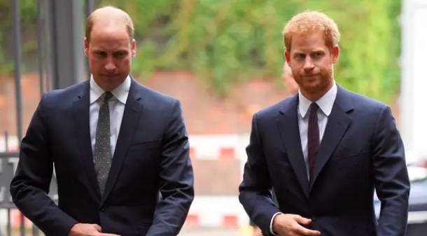Prince Harry and Prince William are on 'different paths', Harry says (Credit: PA)