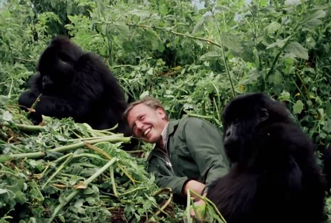 The film will give us a glimpse of David Attenborough's youth (Credit: Altitude Films)