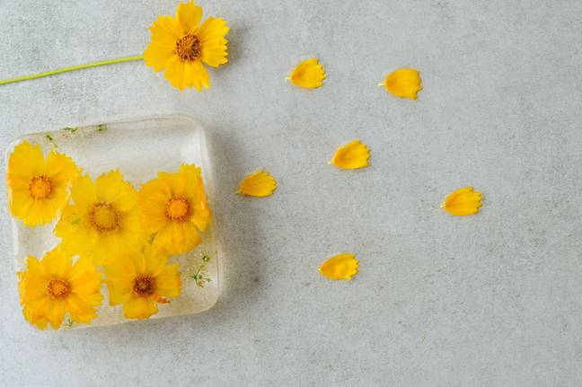 You can't just use any flowers for your ice cubes (Credit: Alamy/PA)