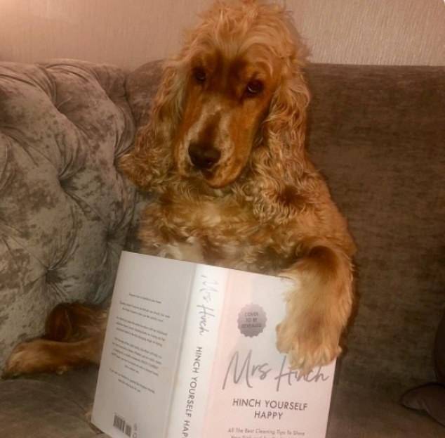 Mrs Hinch announced the news with the help of her pooch Henry. (Credit: Instagram/Mrs Hinch)