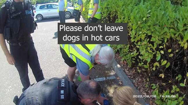 The police immediately moved the dog into the shade and gave him some water. Credit: SWNS