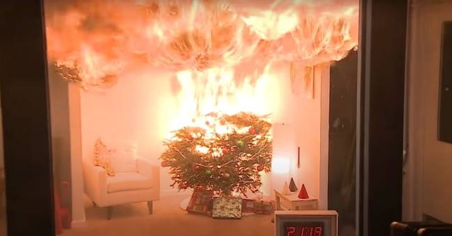 A fire in a well-watered Christmas tree will not spread nearly as fast or as far. (Credit: National Fire Protection Association)