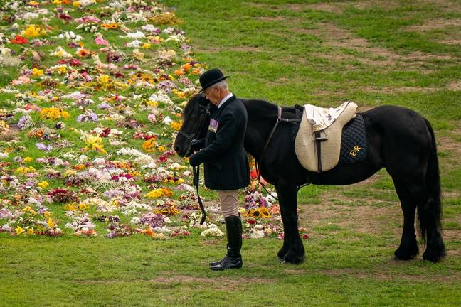 Emma was accompanied by the Queen's Stud Groom, Terry. Credit: PA Images/Alamy Stock Photo